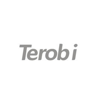 Terobi Indipendent Games