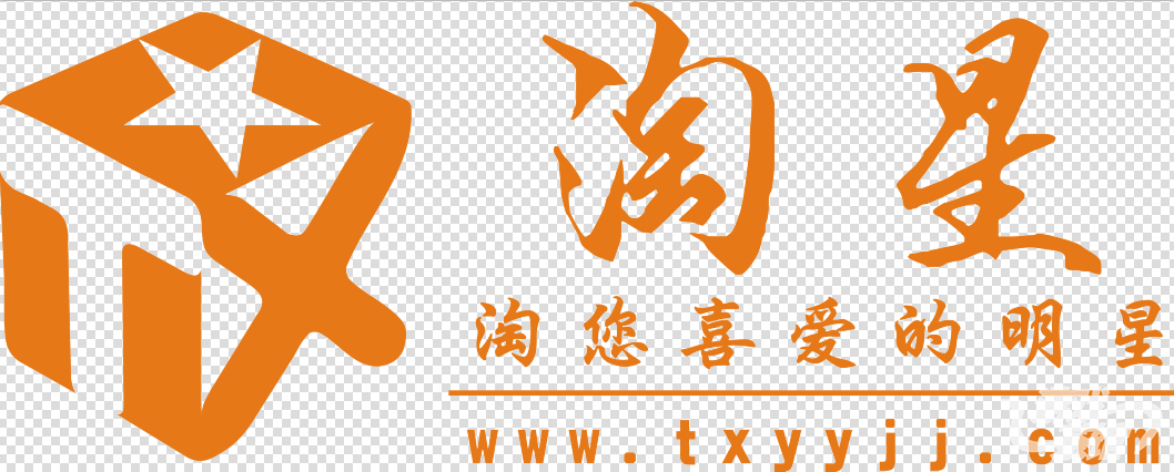 淘星艺人经纪公司