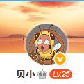 个人团队
