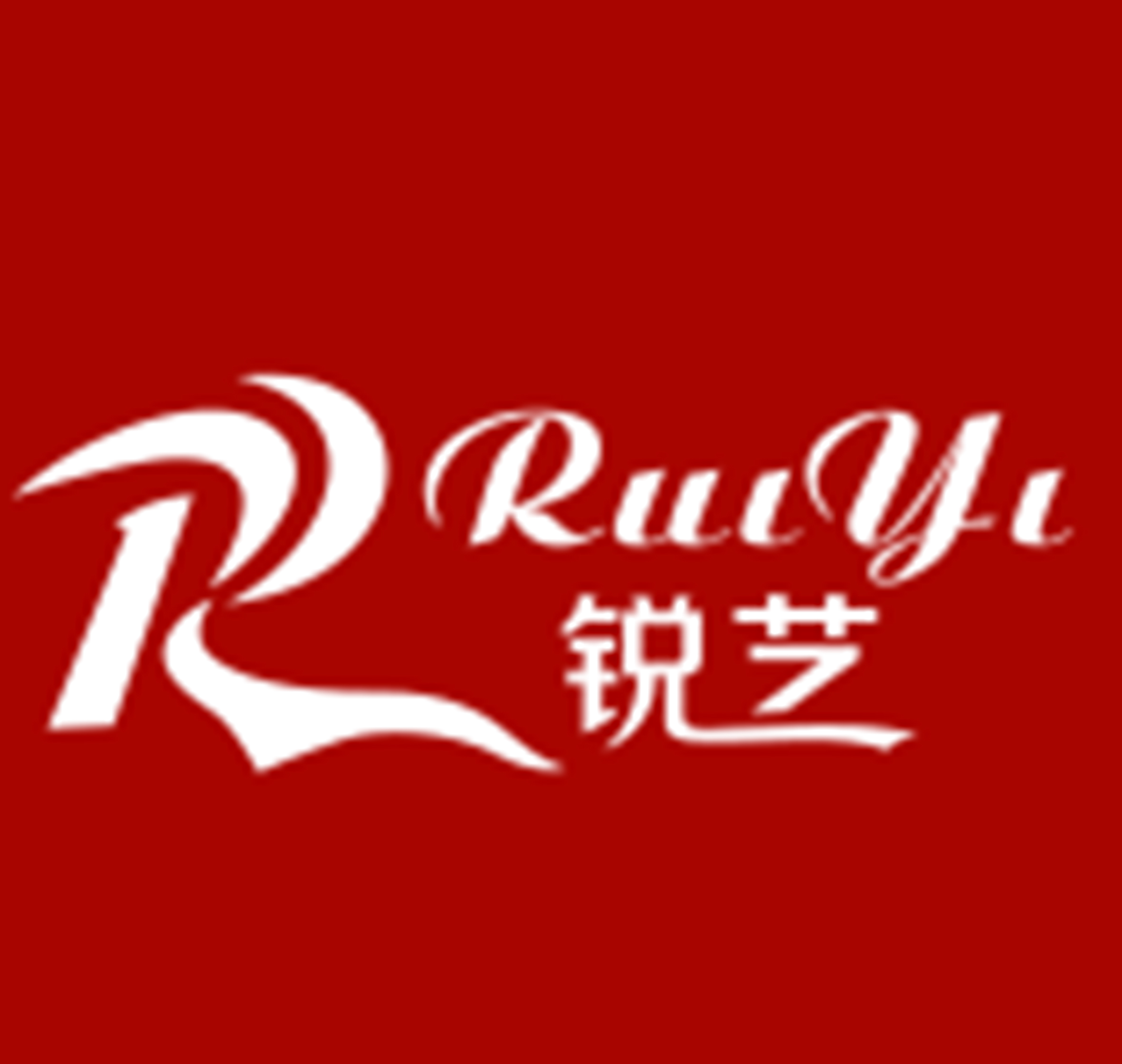 南京锐艺网络传媒有限公司