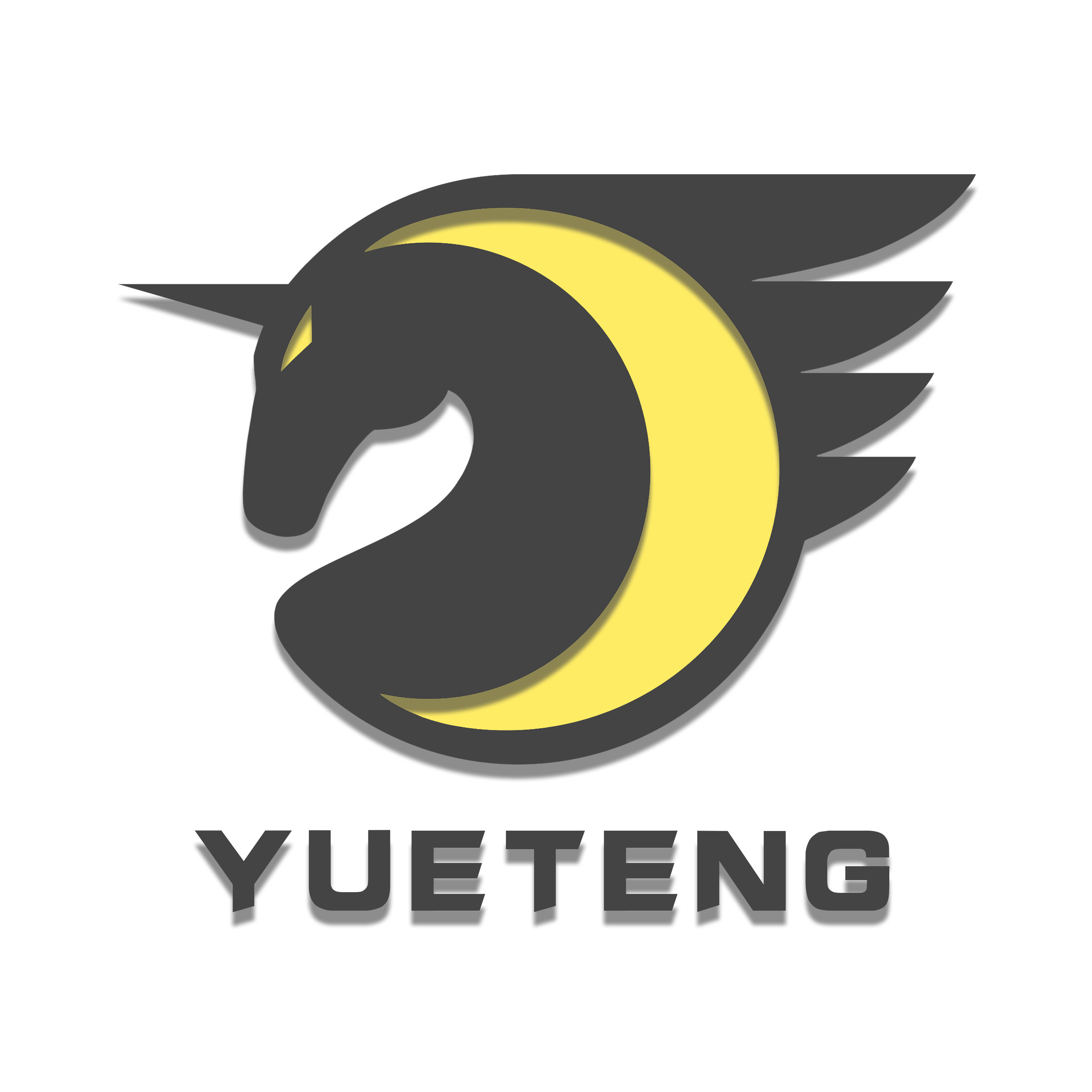 上海月腾软件科技有限公司