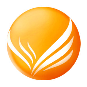 雅耀（湖南）科技有限公司