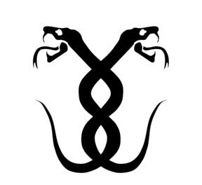 陕西银蛇数字信息科技有限公司