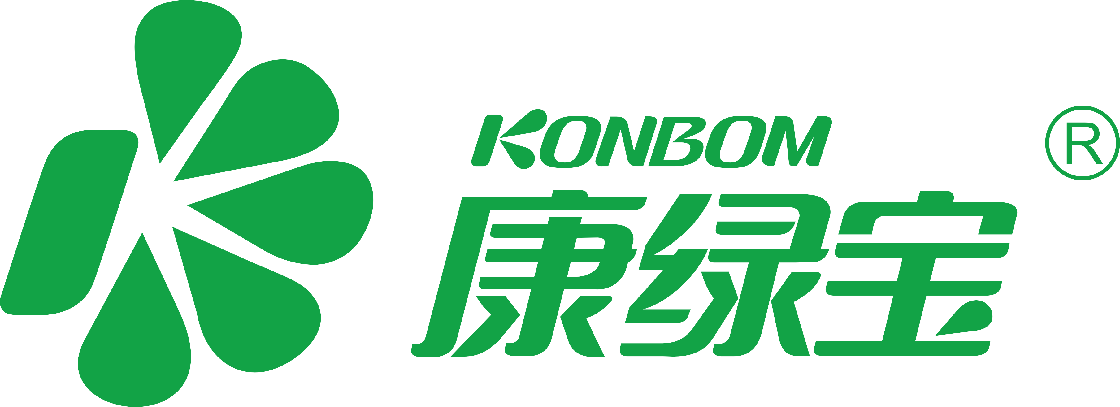 广东康绿宝科技实业有限公司