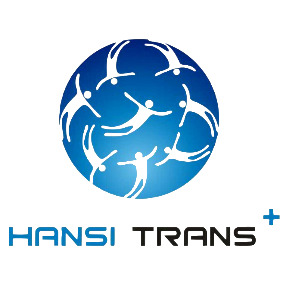 Hansi Transplus-HS翰思-出海多语种配音