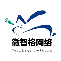 南京市微智格网络智能科技有限公司