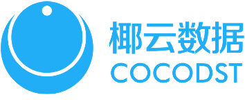 海南椰云数据服务科技有限公司