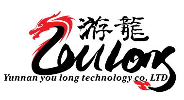 云南游龙科技有限公司