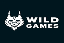 Supercell投资Wild Games超10万美元 至力于移动游戏开发