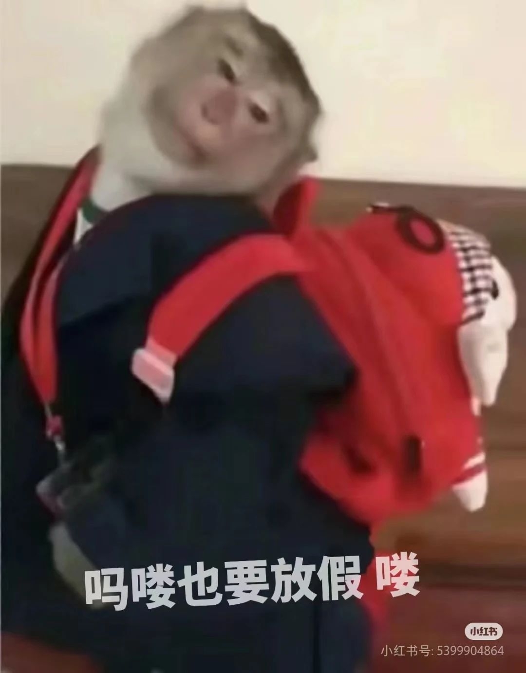 不装了，我们明天也集体放假玩《黑神话：悟空》