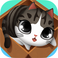 猫箱纸