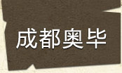 成都奥毕信息有限公司