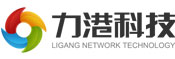 桂林力港科技网络科技有限公司（广州分公司）